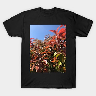 Leaves T-Shirt